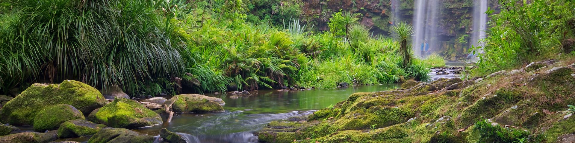 A lush green landscape with a waterfall, a river flowing over rocks, and dense vegetation.