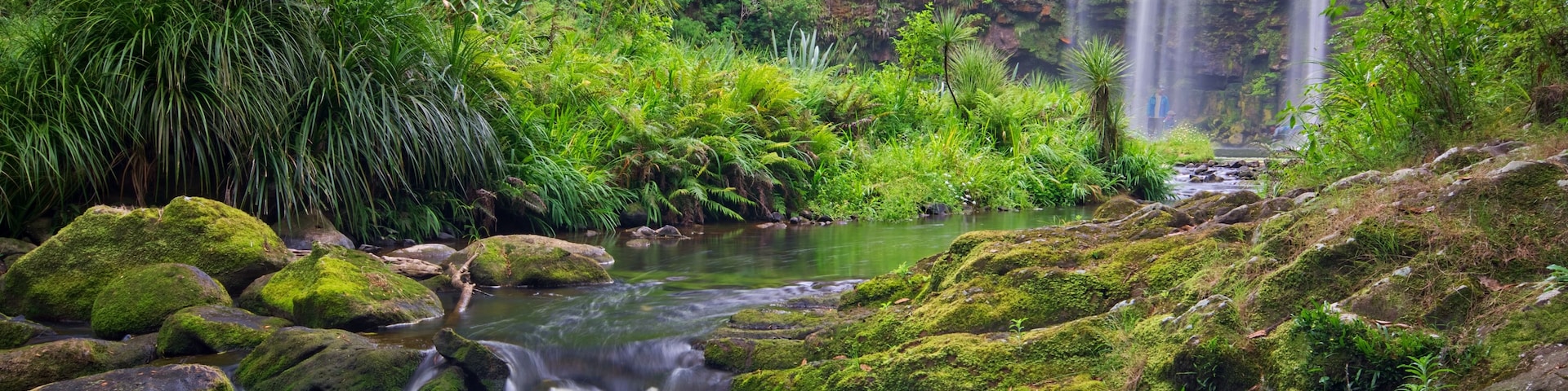 Uma paisagem verde exuberante com uma cascata, um rio serpenteando sobre rochas e vegetação densa.