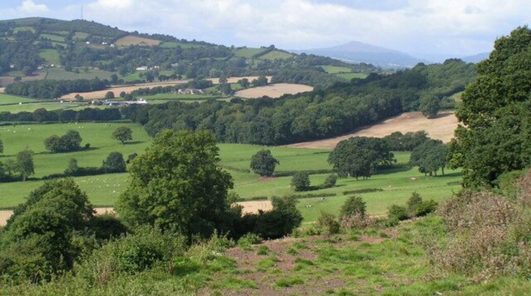 Farmland and mountain view from Orcop hill
