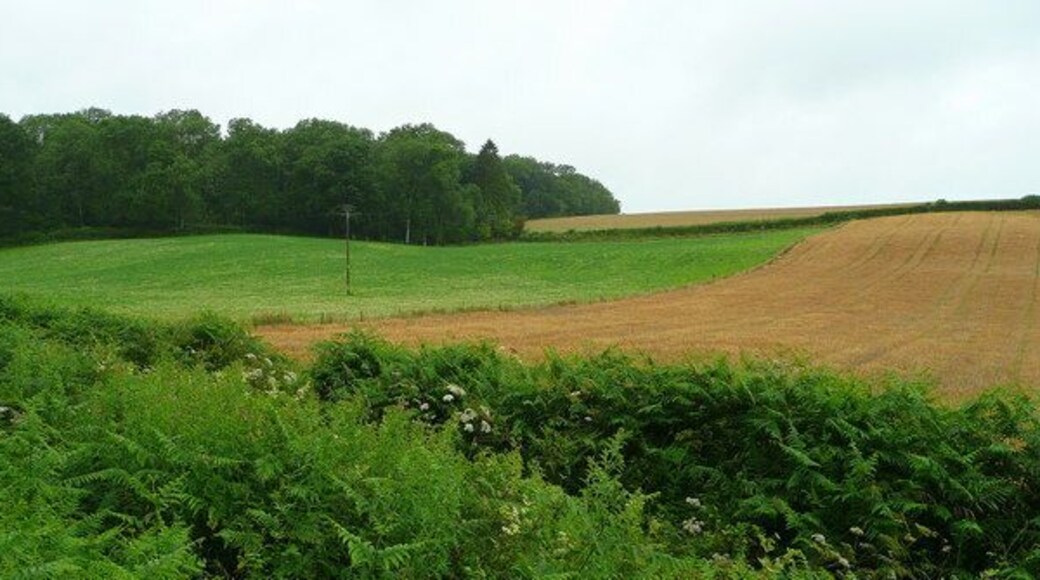 View to Lower Bolstone Wood A fold of land in the hills to the west of the Wye.