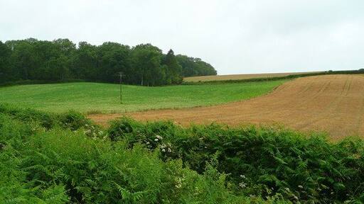 View to Lower Bolstone Wood A fold of land in the hills to the west of the Wye.