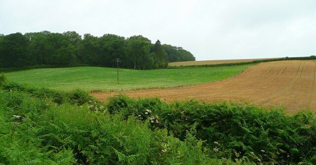 A rural landscape with a field, a forest, and a hill.