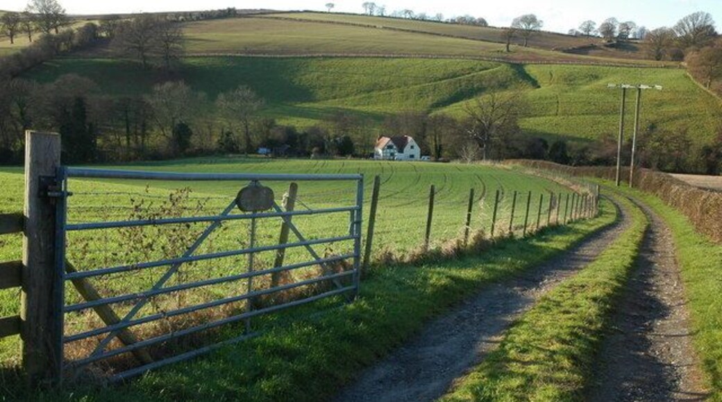Track to Tar's Mill Cottage View down the access track to Tar's Mill Cottage viewed from the point at which the footpath leaves the track.