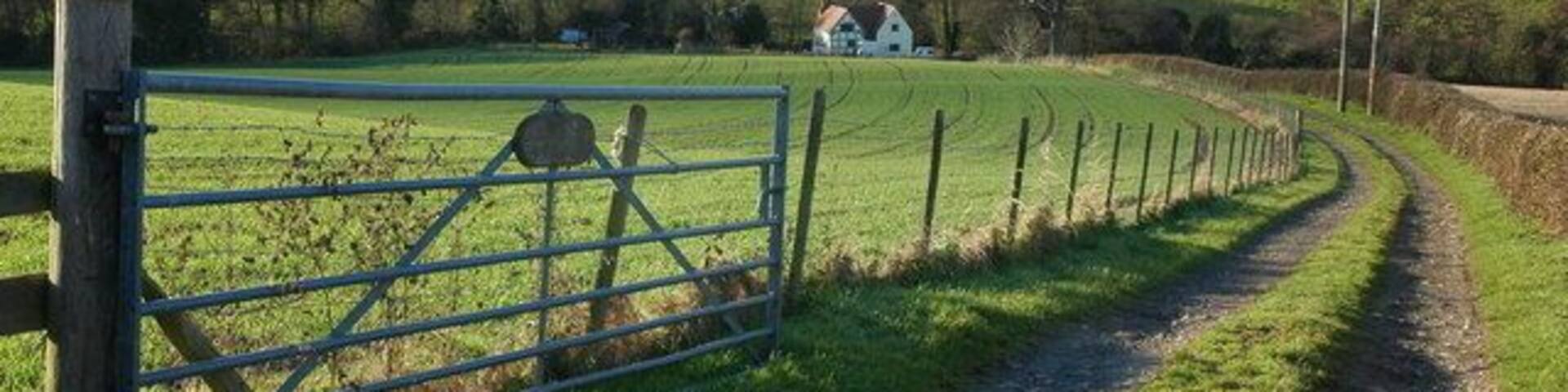 A rural landscape with a dirt path, a metal gate, and rolling green hills in the background.