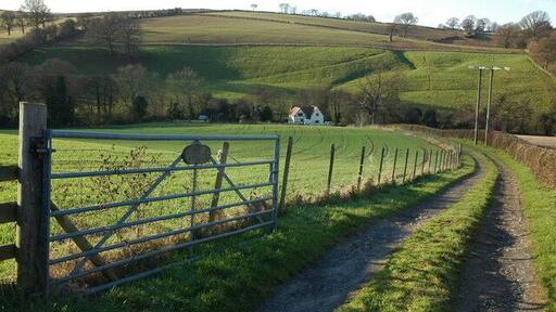 Track to Tar's Mill Cottage View down the access track to Tar's Mill Cottage viewed from the point at which the footpath leaves the track.