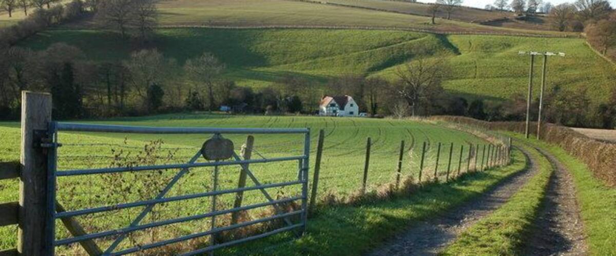 A rural landscape with a dirt path, a metal gate, and rolling green hills in the background.
