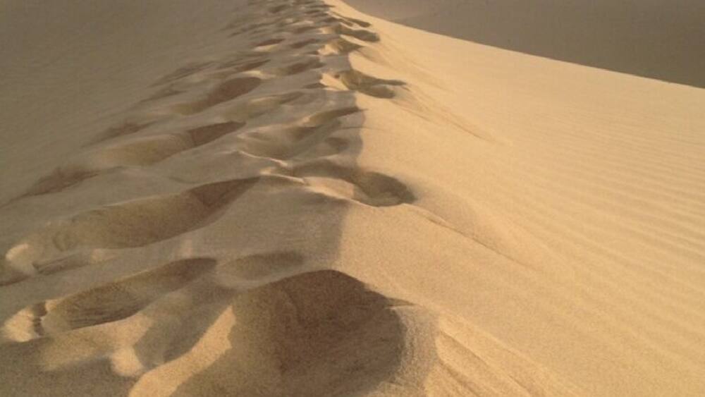 A desert landscape with a series of footprints leading up a sand dune.