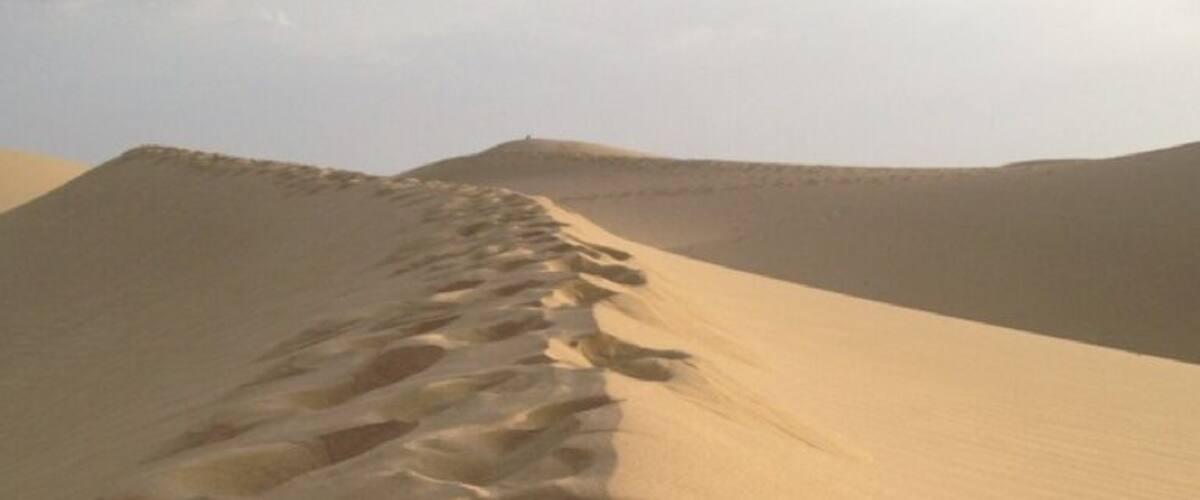 A desert landscape with a series of footprints leading up a sand dune.