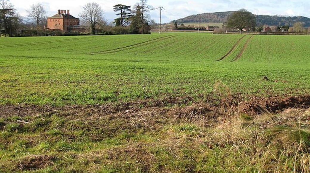 Arable land north of Burghill Court Looking towards Credenhill Park Wood. For details of Burghill Court, click http://www.smr.herefordshire.gov.uk/hsmr/db.php?smr_no=31147