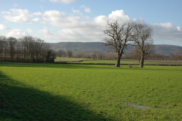 Farmland by Chestnut Coppice, Byford