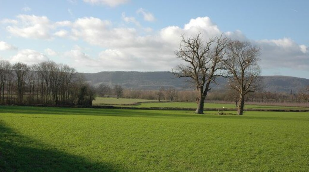 Farmland by Chestnut Coppice, Byford