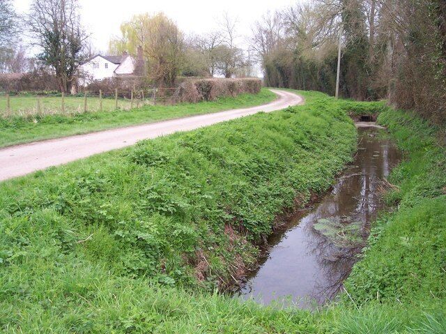 Ducks in a Ditch, Sutton Rhea The area around here, being close to the River Lugg, is riddled with drainage ditches.