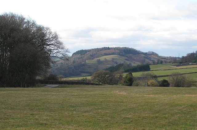 Pasture by Coed Lank Wood With a view to Coed-y-pwll across the Monnow Valley.