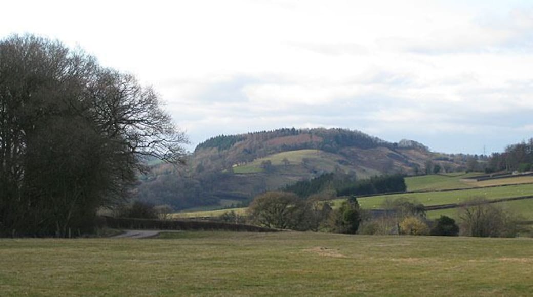 Pasture by Coed Lank Wood With a view to Coed-y-pwll across the Monnow Valley.