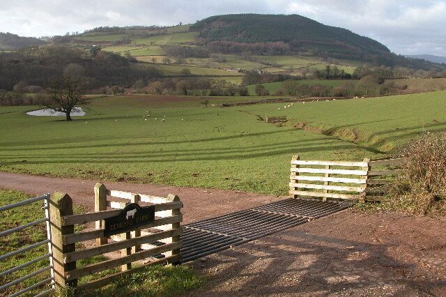 Monnow valley viewed from the entrance to Demesne Farm. Here the River Monnow forms the boundary between England and Wales, the view is from England with Wales on the other side of the valley.