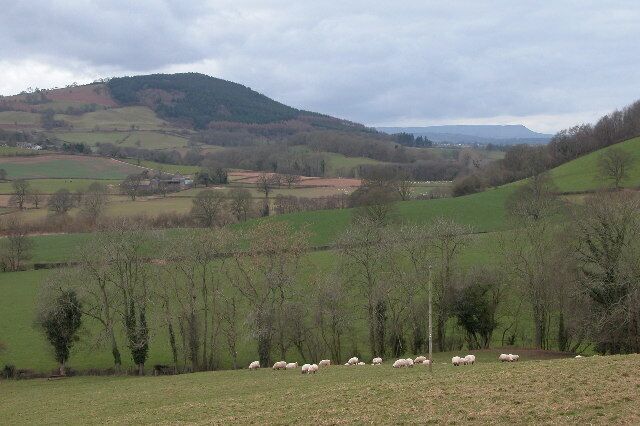 The Monnow Valley. View up the Monnow valley from below Lower Common on the lane between Skenfrith and Garway. In the distance are the Black Mountains and Hay Bluff