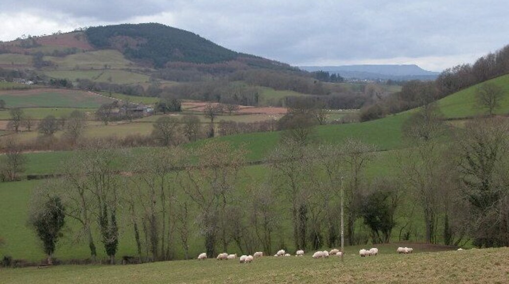 The Monnow Valley. View up the Monnow valley from below Lower Common on the lane between Skenfrith and Garway. In the distance are the Black Mountains and Hay Bluff