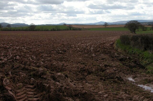Ploughed field opposite Quarry Plantation View south-west across a ploughed field. In the distance the distinctive Ysgyryd and the Sugarloaf are visible.