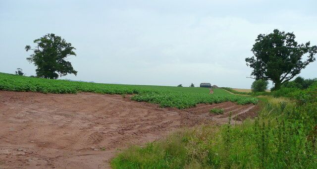 A rural landscape with fields, a dirt path, and a vehicle in the distance.