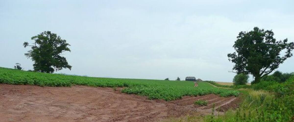 A rural landscape with fields, a dirt path, and a vehicle in the distance.