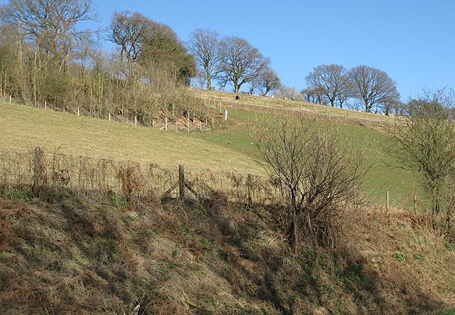 Rattle Hill Drops down steeply on this side to the B4224 from its height of 150m.