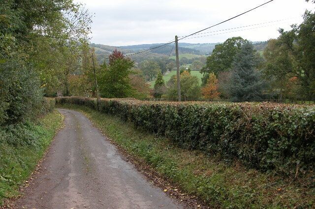 Road to Sollers Hope. Here the road is passing Birch Wood.