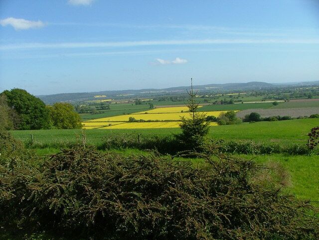 Paisaje rural con campos verdes, un campo amarillo y colinas al fondo.