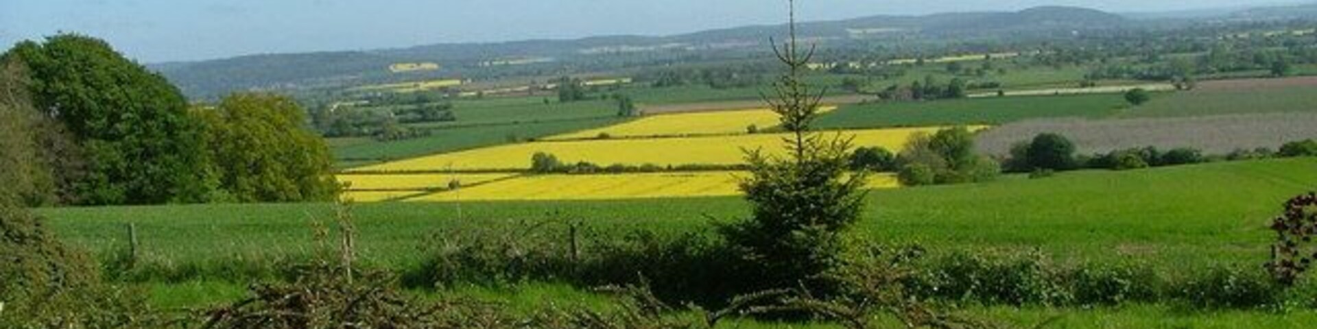 Paisaje rural con campos verdes, un campo amarillo y colinas al fondo.