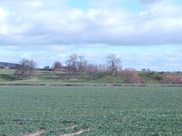 Over the Wye At the end of the second field away flows the River Wye. The trees are on a small river cliff on the opposite bank.