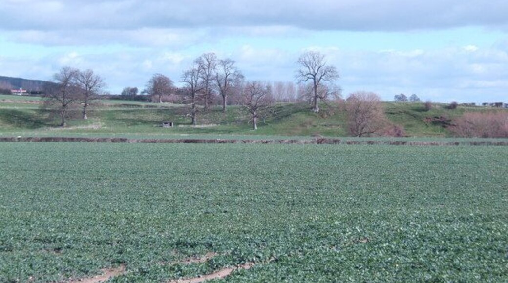 Over the Wye At the end of the second field away flows the River Wye. The trees are on a small river cliff on the opposite bank.