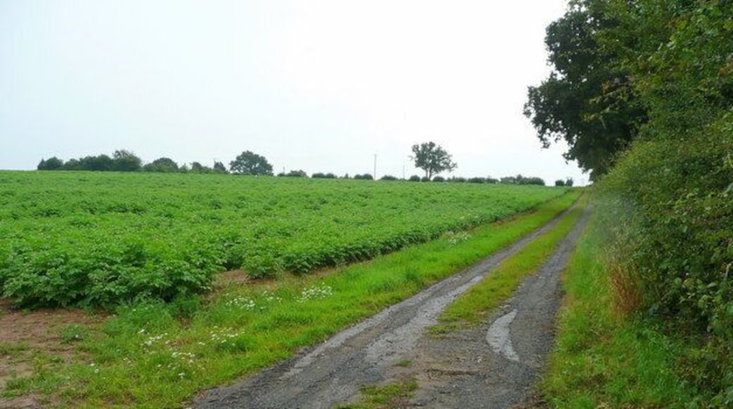 Track to Dunan Potato crop and track south of the B4349.