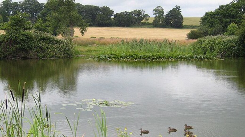 Fishing pool, Bulmers Angling Club Members only. No overnight fishing without permission.