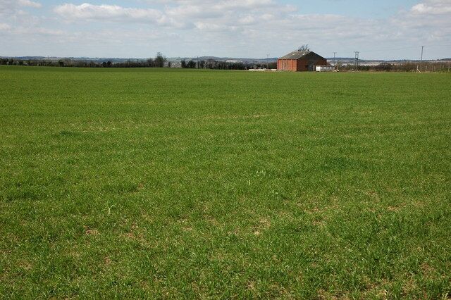 Arable land near Barton This land used to be an orchard, at present this field is planted with winter cereal. The building in the background used to be a fruit packing shed.