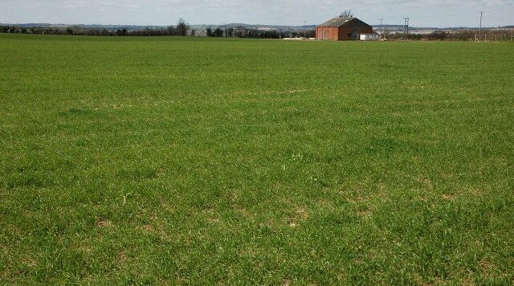 Arable land near Barton This land used to be an orchard, at present this field is planted with winter cereal. The building in the background used to be a fruit packing shed.