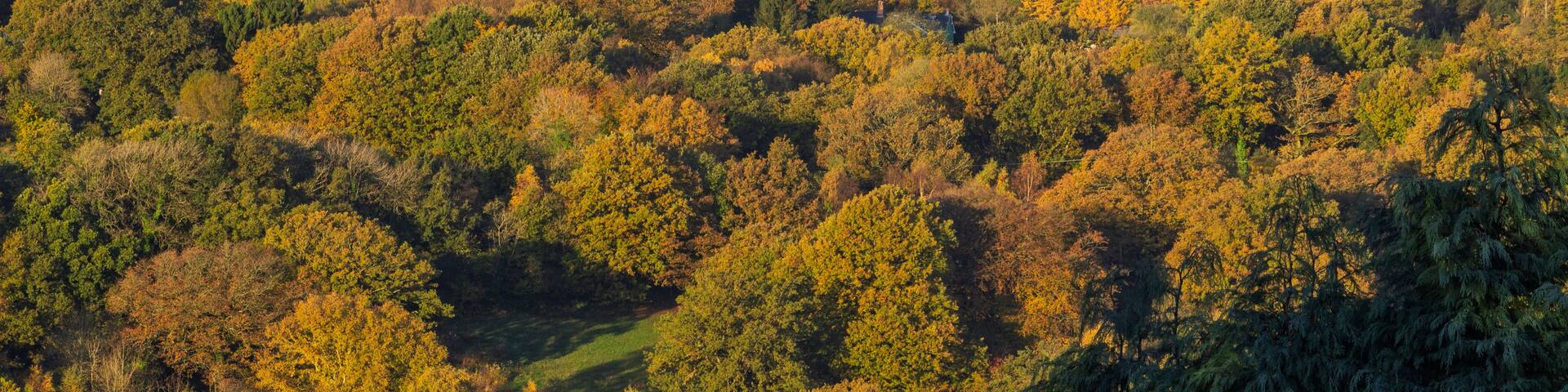 A hill with autumn foliage, a small house, and a clear sky.