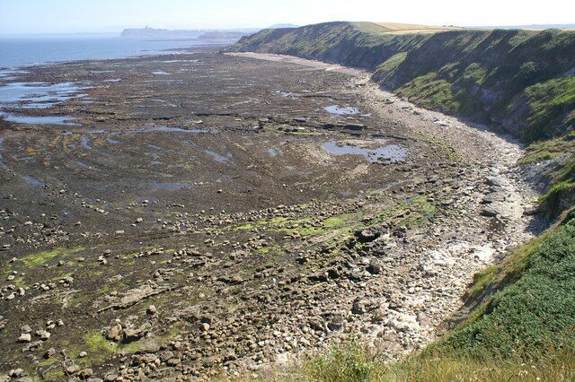 Flat Scar. Viewed at low tide from the Cleveland Way with Scarborough Castle in the distance.