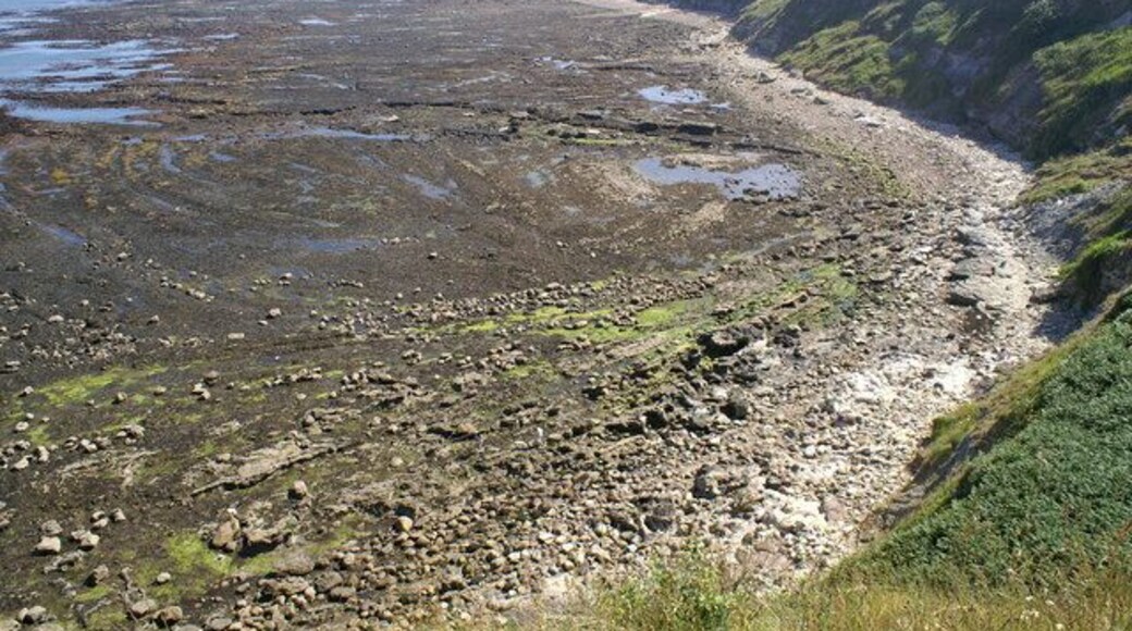 Flat Scar. Viewed at low tide from the Cleveland Way with Scarborough Castle in the distance.
