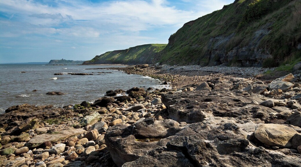 Cleveland Way coast IMG_1689.jpg