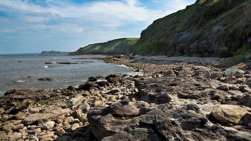 Cleveland Way coast IMG_1689.jpg