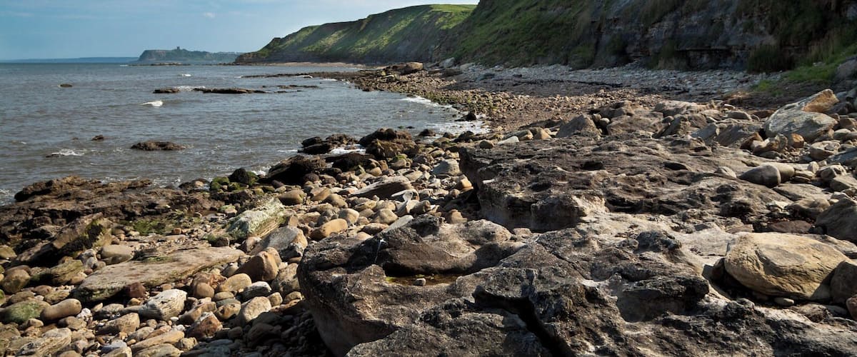 A rocky shoreline with large boulders and a grassy cliff.