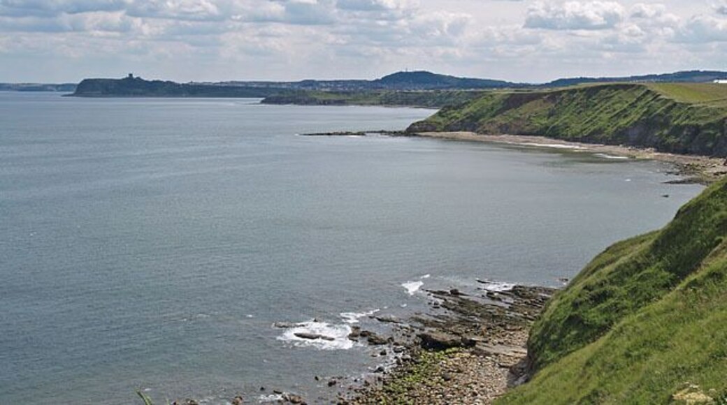 View from cliffs south of Long Nab Showing the headlands of Cromer Point, Scalby Ness and Scarborough Castle Hill. The hill on the horizon in the centre is Oliver's Mount.