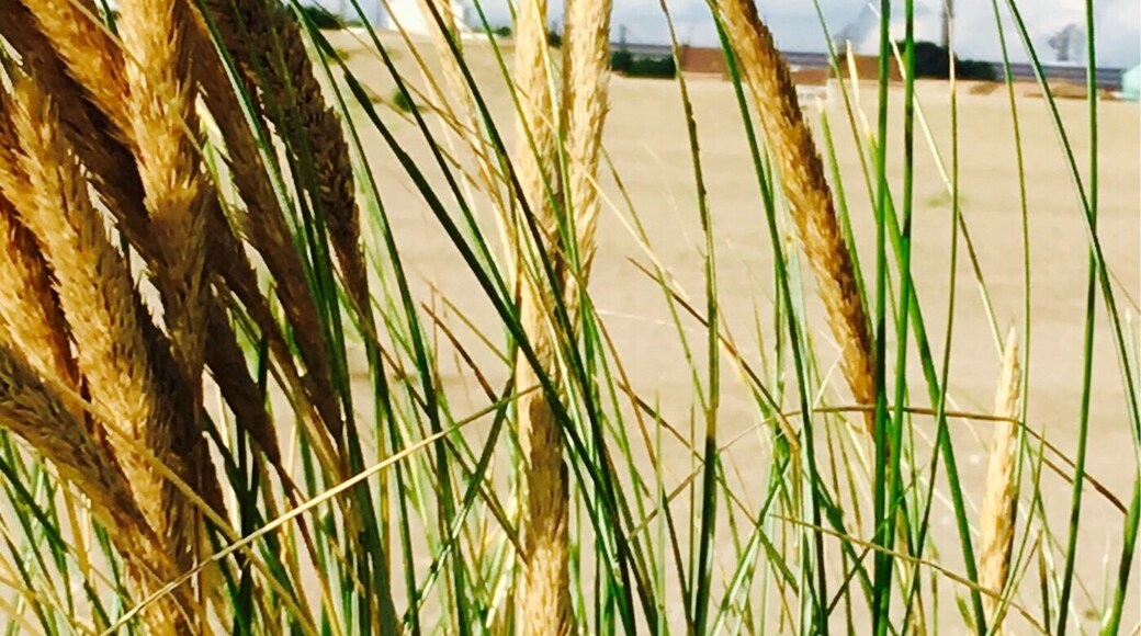 Dunkirk is in everyone's mouth now, after the film "Dunkirk". It's a lovely beach with a beautiful lighthouse.