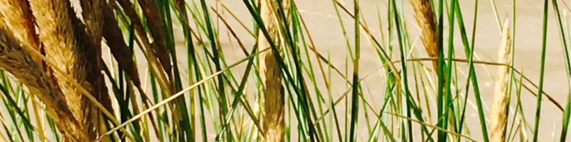 Dunkirk is in everyone's mouth now, after the film "Dunkirk". It's a lovely beach with a beautiful lighthouse.