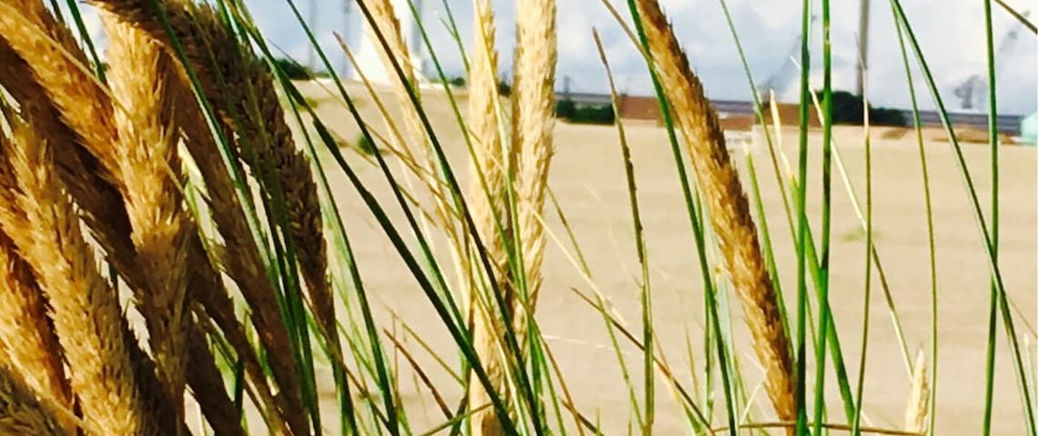 Dunkirk is in everyone's mouth now, after the film "Dunkirk". It's a lovely beach with a beautiful lighthouse.
