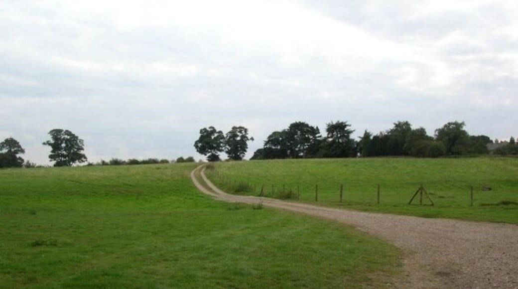 Track to Nether Poppleton Taken close to the east coast mainline railway.