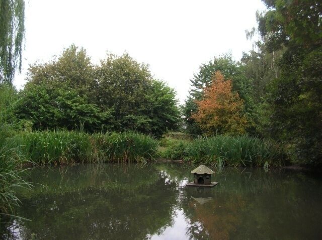 Pond in Nether Poppleton A small pond down this cul-de-sac in Nether Poppleton.