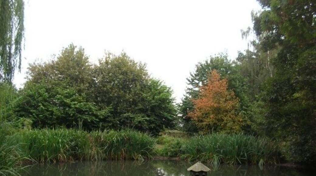 Pond in Nether Poppleton A small pond down this cul-de-sac in Nether Poppleton.