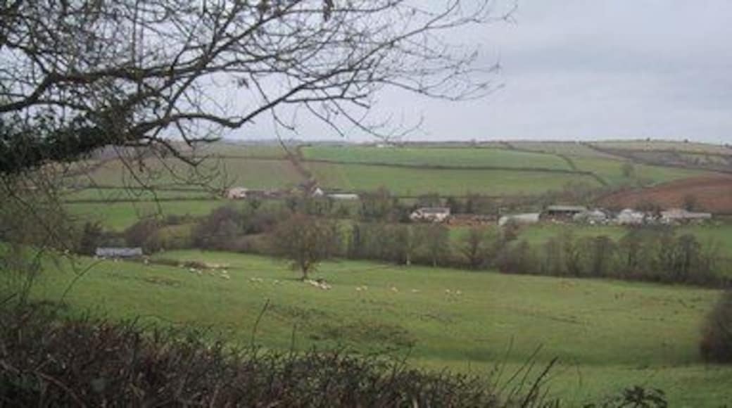 Fields north of Cheriton Fitzpaine