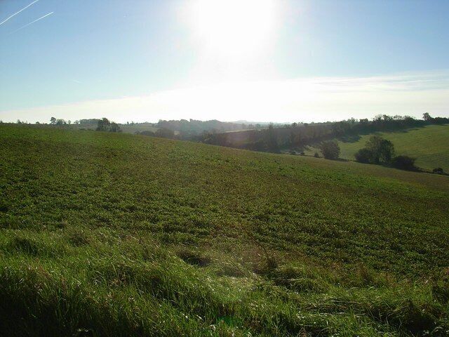 Looking towards Workham Bottom Across fields running down to Coombe Brook.