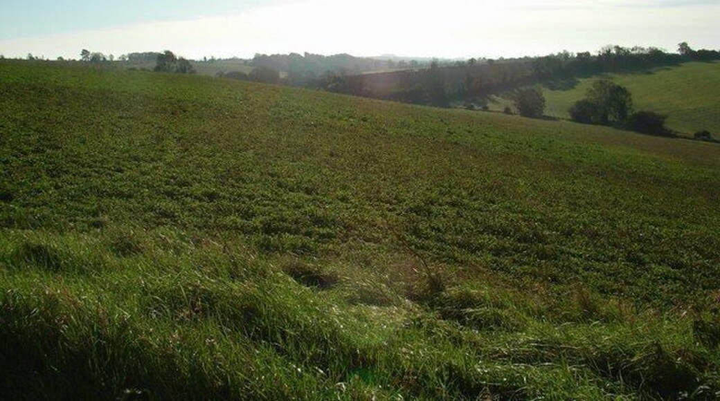 Looking towards Workham Bottom Across fields running down to Coombe Brook.